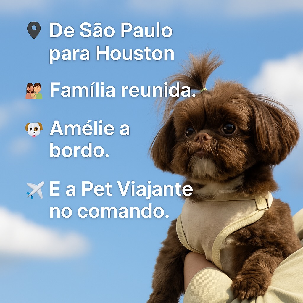 Amélie, Cadela, viagem de Brasil para Estados Unidos