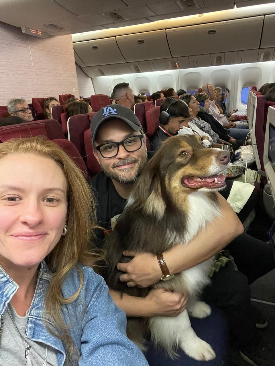 Benjamin, Cão de serviço, viagem de Brasil para Portugal