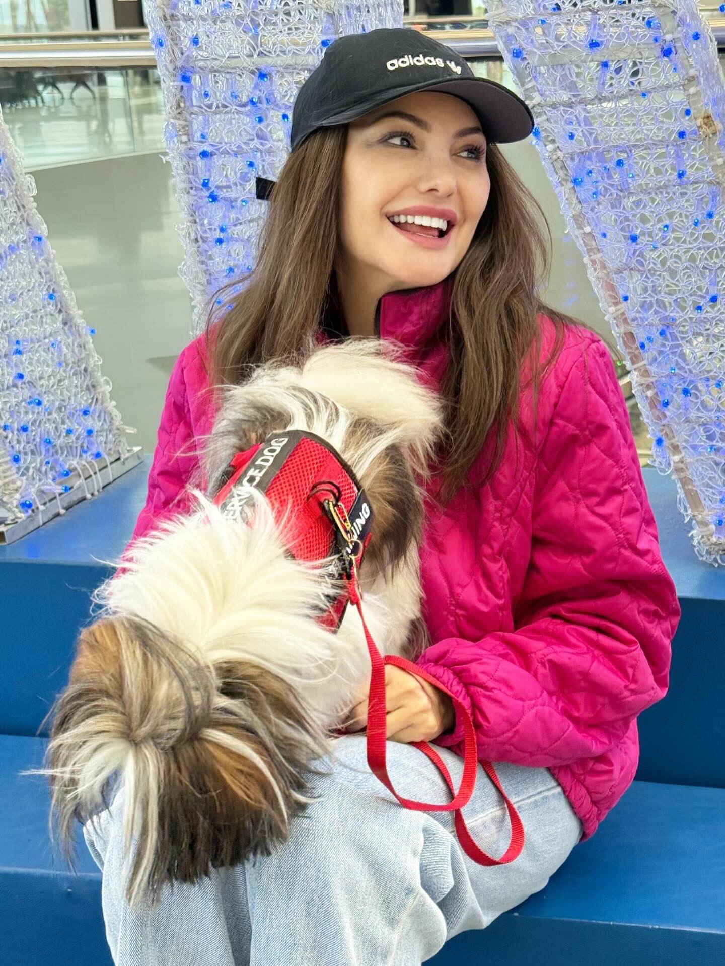 Floquinho, Cão, viagem de Brasil para Estados Unidos