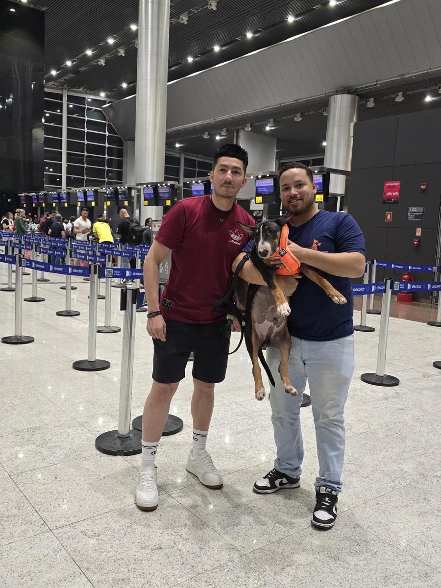 Haru, Cão, viagem de Brasil para Canadá