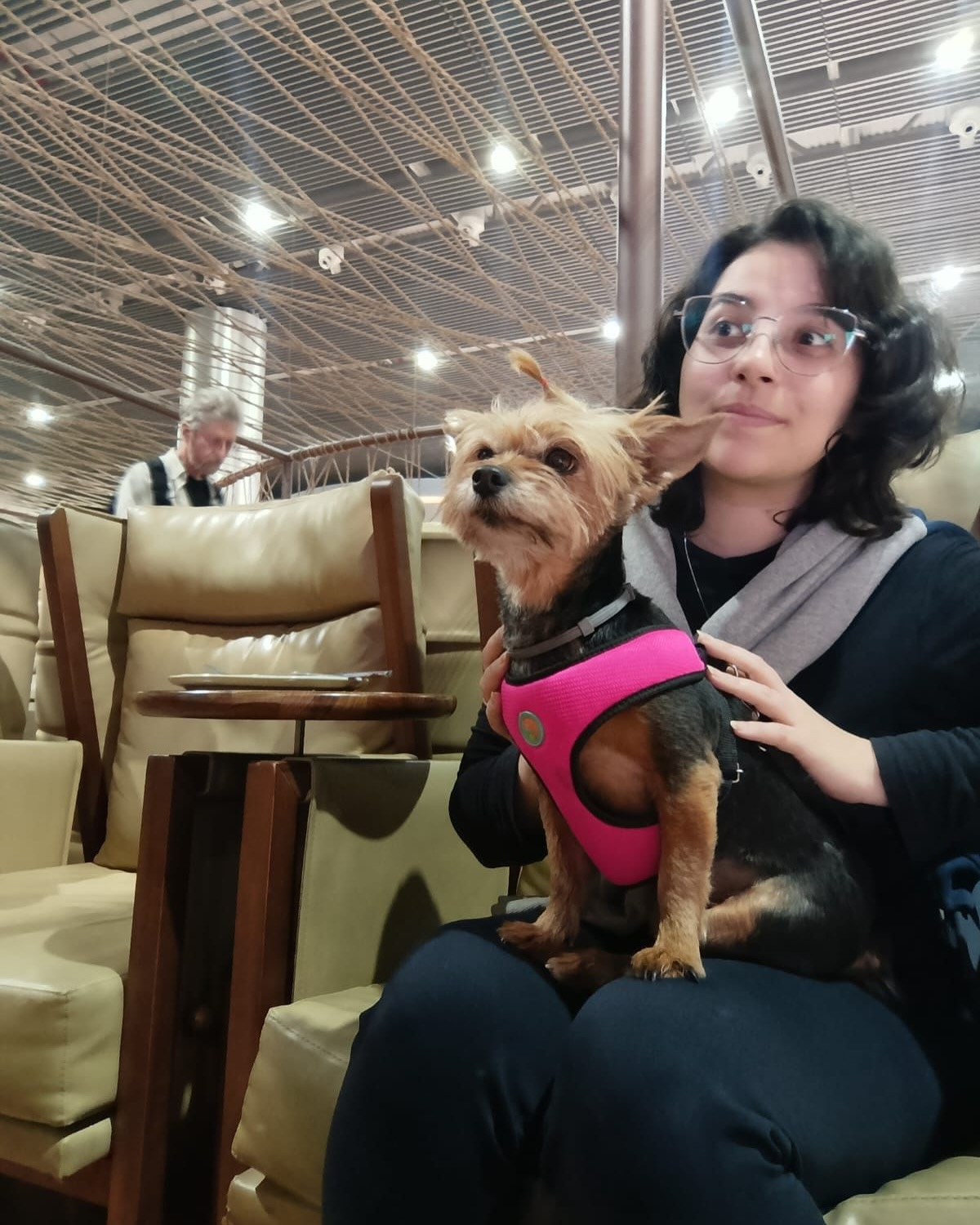 Jessie, Cadela, viagem de Interior de Minas Gerais para Portugal