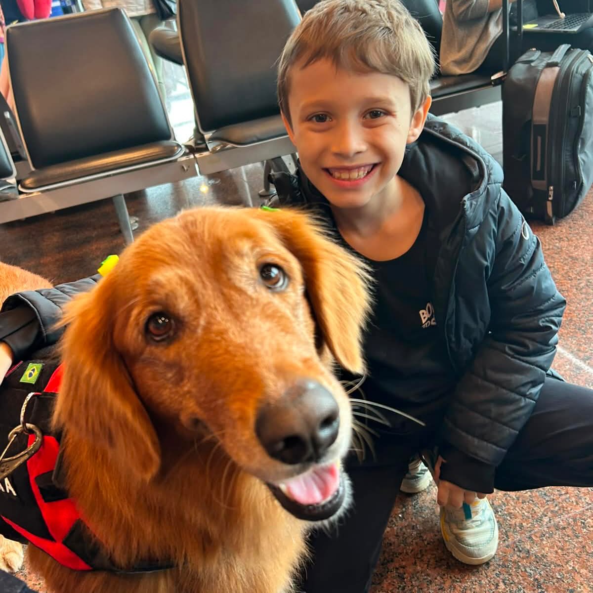 Laika, Cadela, viagem de Brasil para Canadá