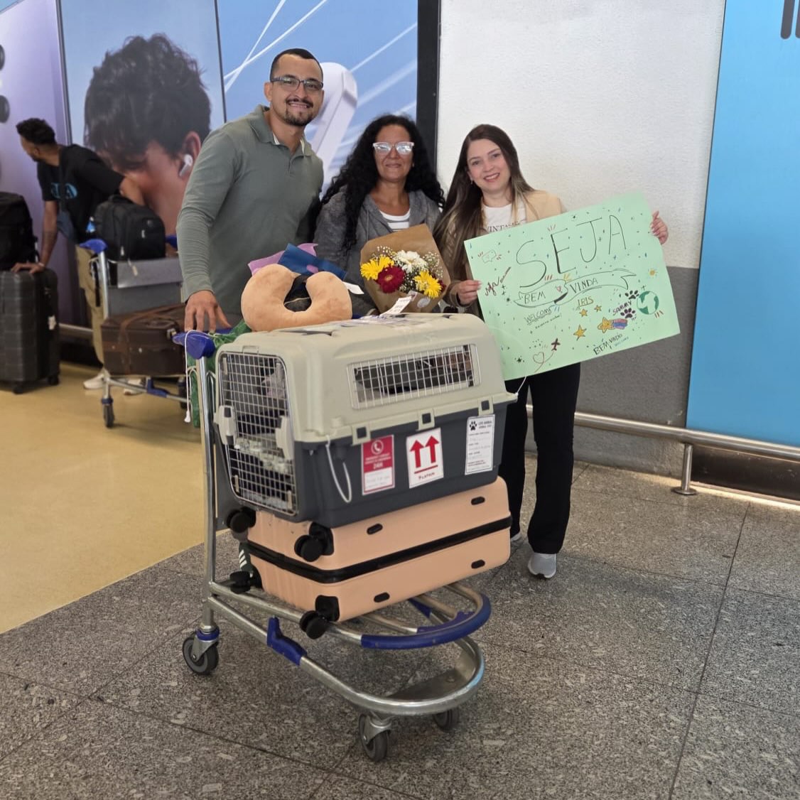 Sammy, Cadela, viagem de Brasil para Portugal