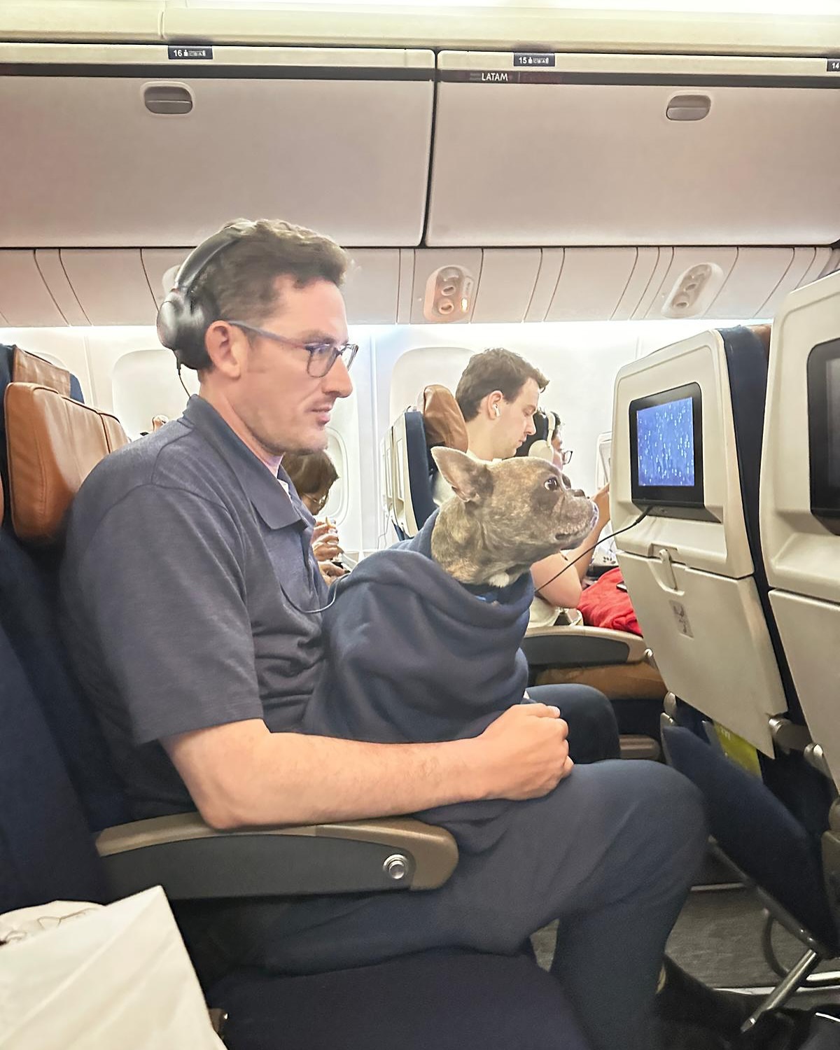 Sancho e Gru, Cães de serviço, viagem de Estados Unidos para Brasil