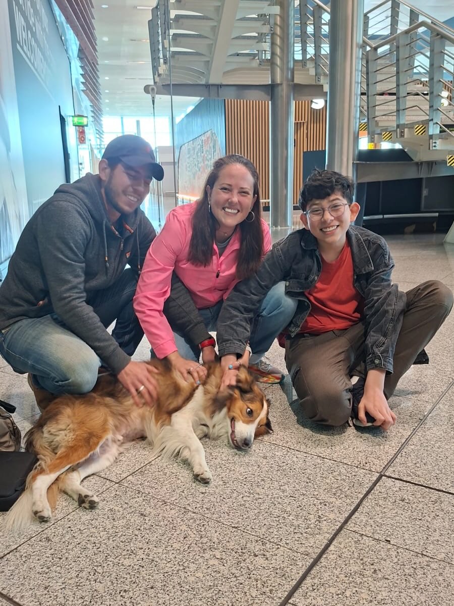 Tite, Cão, viagem de Brasil para Portugal